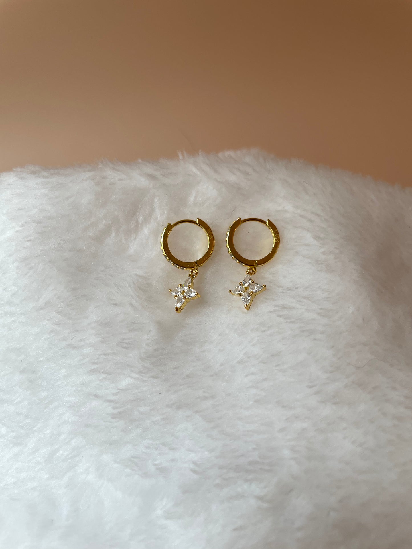 Pendientes Suri