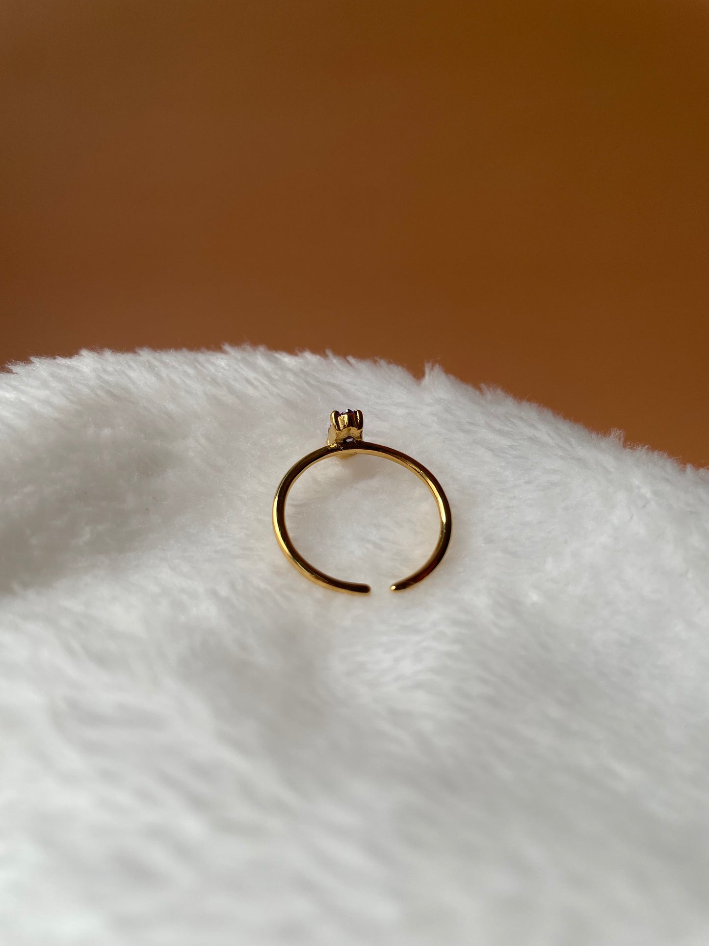 Anillo Noa