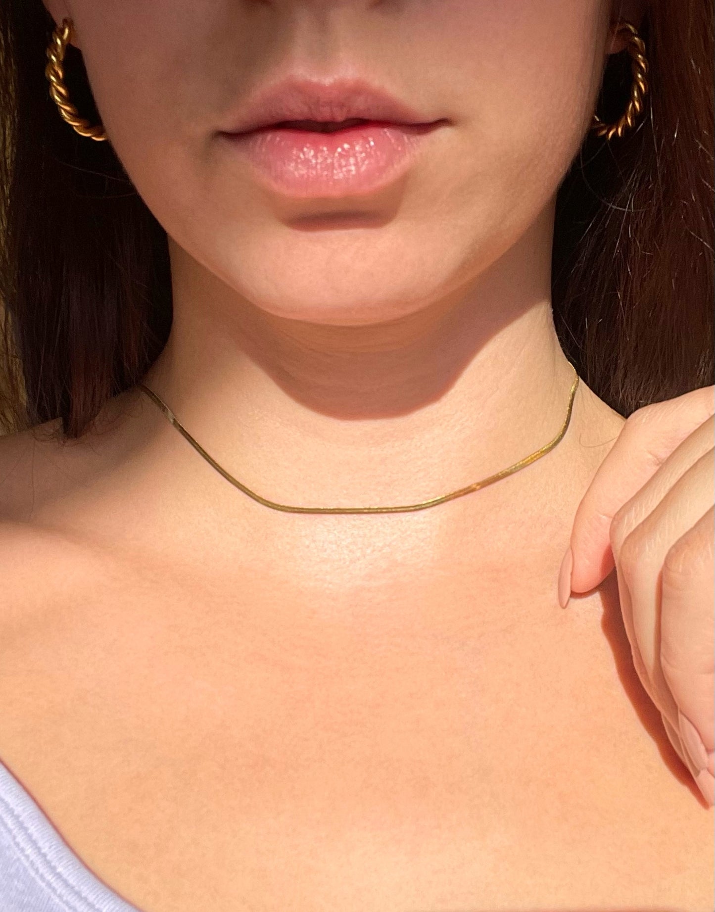 Collar Fancy