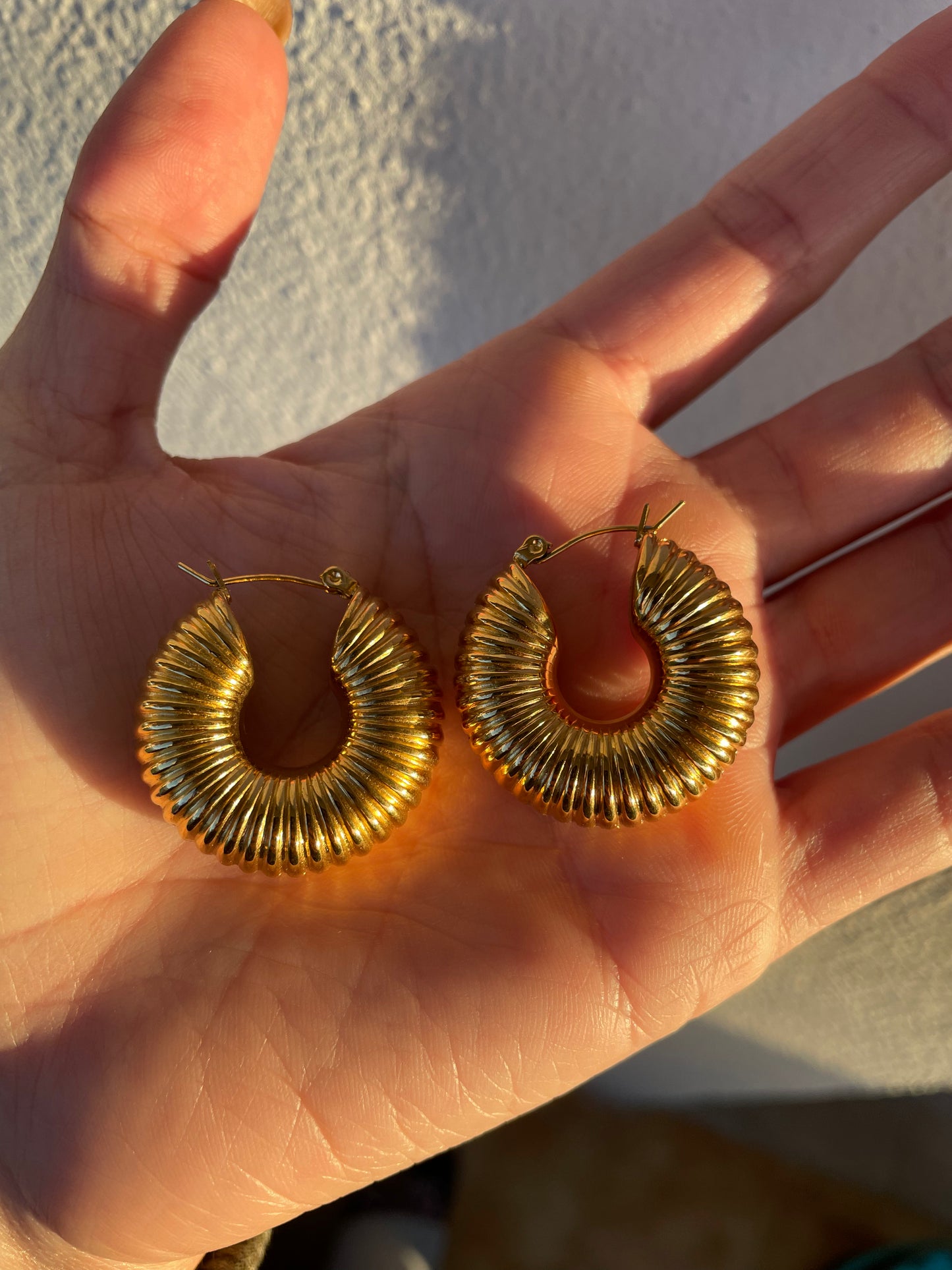 Pendiente Caracol