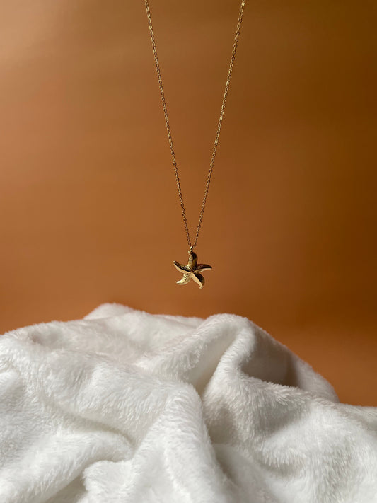Collar Mar