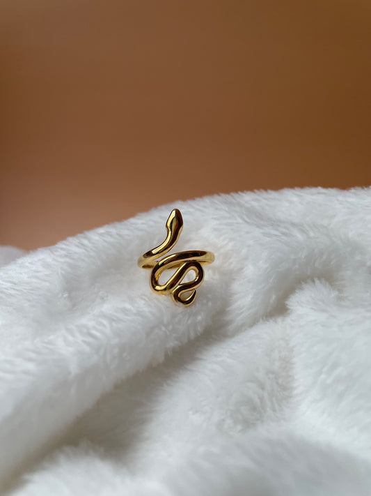Anillo Snake